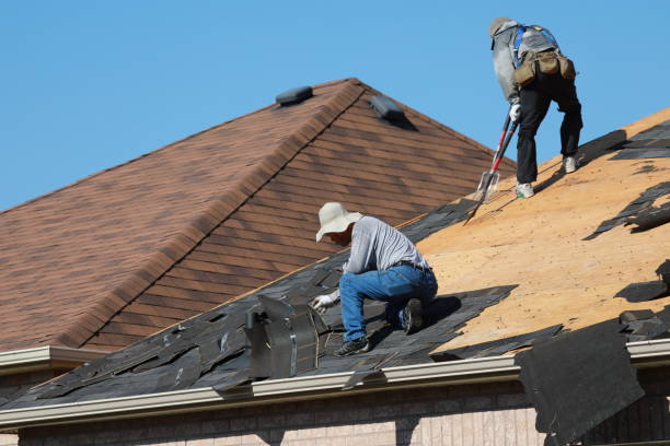 Fast & Reliable Emergency Roof Repairs in Trowbridge Park, MI