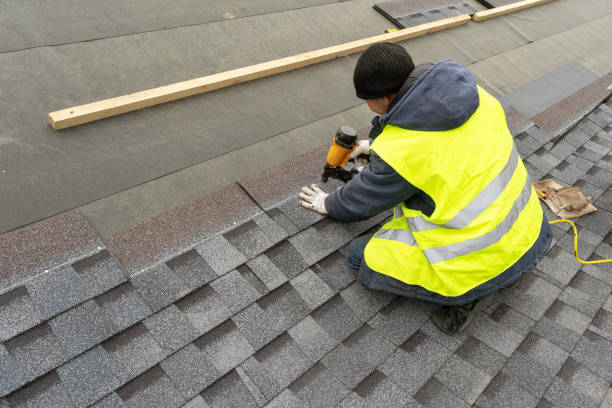 Best Sheet Metal Roofing  in Trowbridge Park, MI