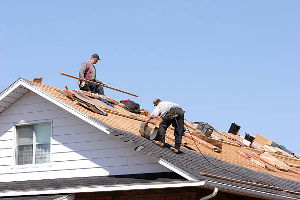 Siding in Trowbridge Park, MI
